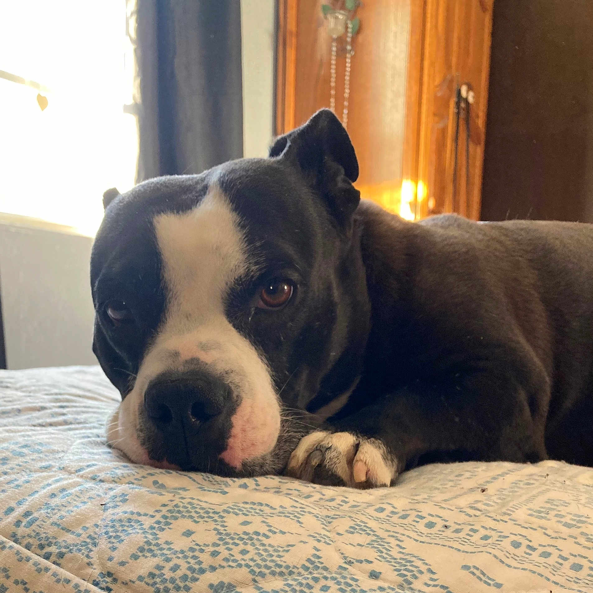 Zeus