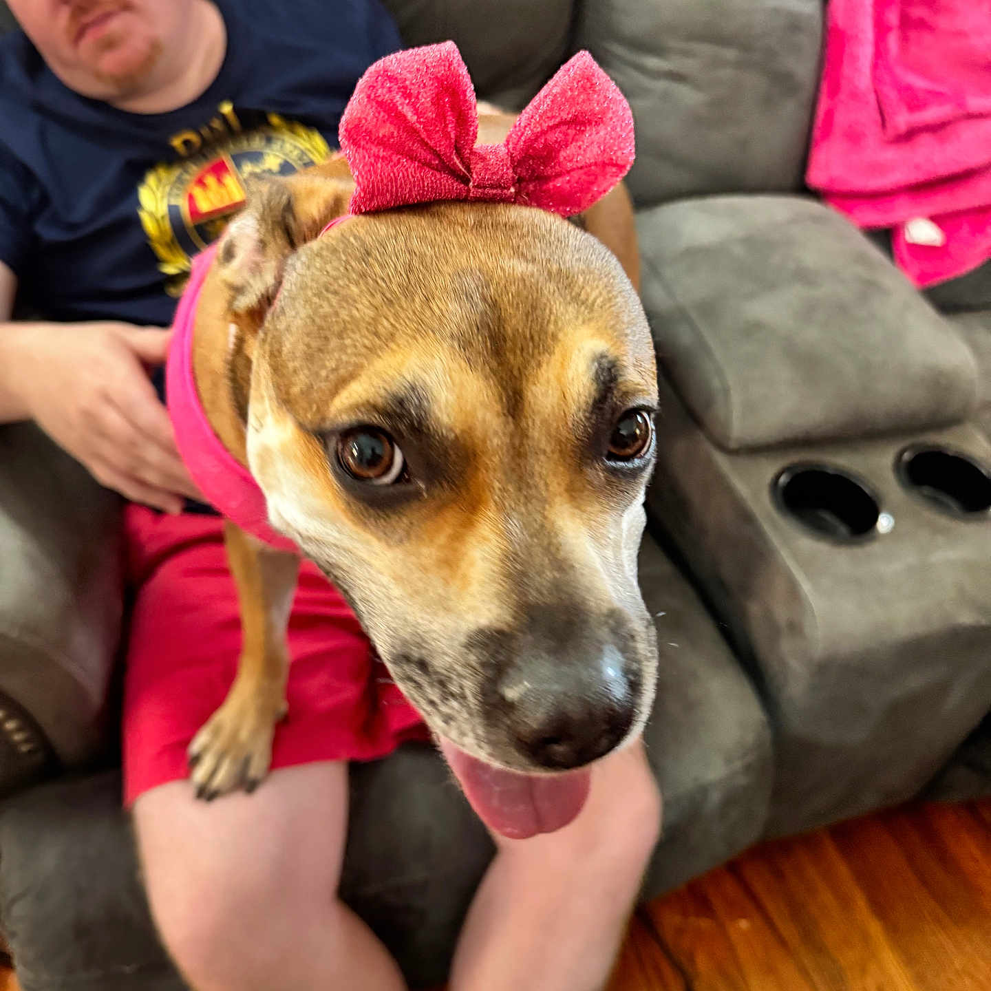 Laika