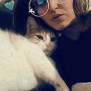Chipy participe au concours pour gagner de l'argent avec cette photo : person, cat, glasses_filter, heart_stickers, stars, indoor, close_up, selfie, pet, cozy, relaxed, face, animal, cute, feline, portrait, snuggling, casual, warm, filter