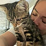 Maya participe au concours pour gagner de l'argent avec cette photo : kitten, cat, tabby, person, face, indoor, affection, pet, animal, closeup, cuddle, love, feline, whiskers, paw, fur, young, cute, home, interaction