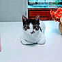cat, table, pink_cup, flower_vase, flowers, kitchen_sink, wooden_cabinet, indoor, pet, white_table, domestic_cat, striped_cat, curious, resting, household, clean, decor, orange_flowers, red_flowers, white_flowers