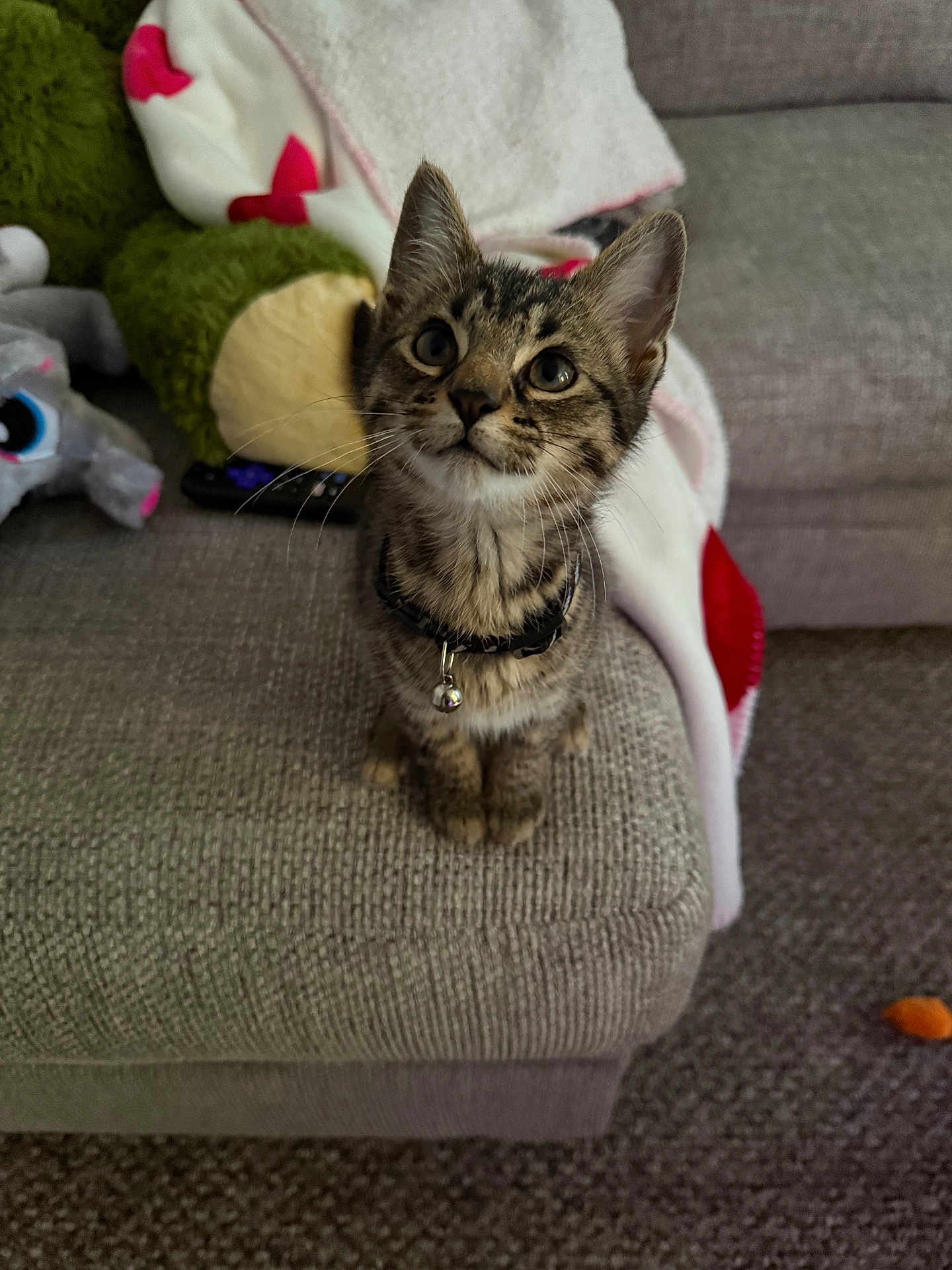 Percy