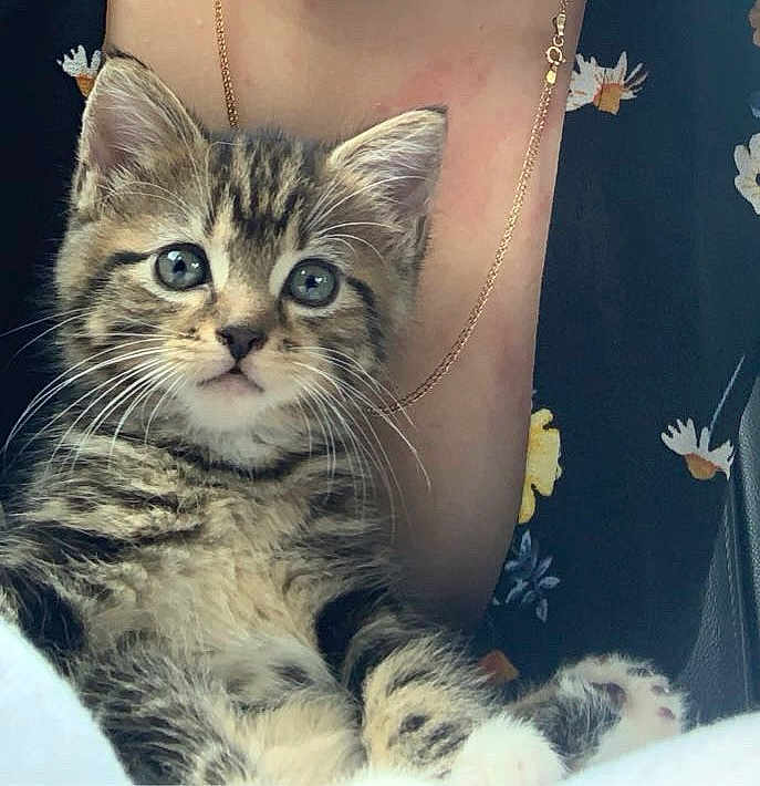 Mia
