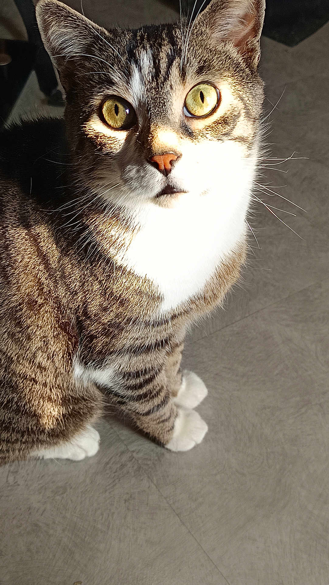 Berlioz