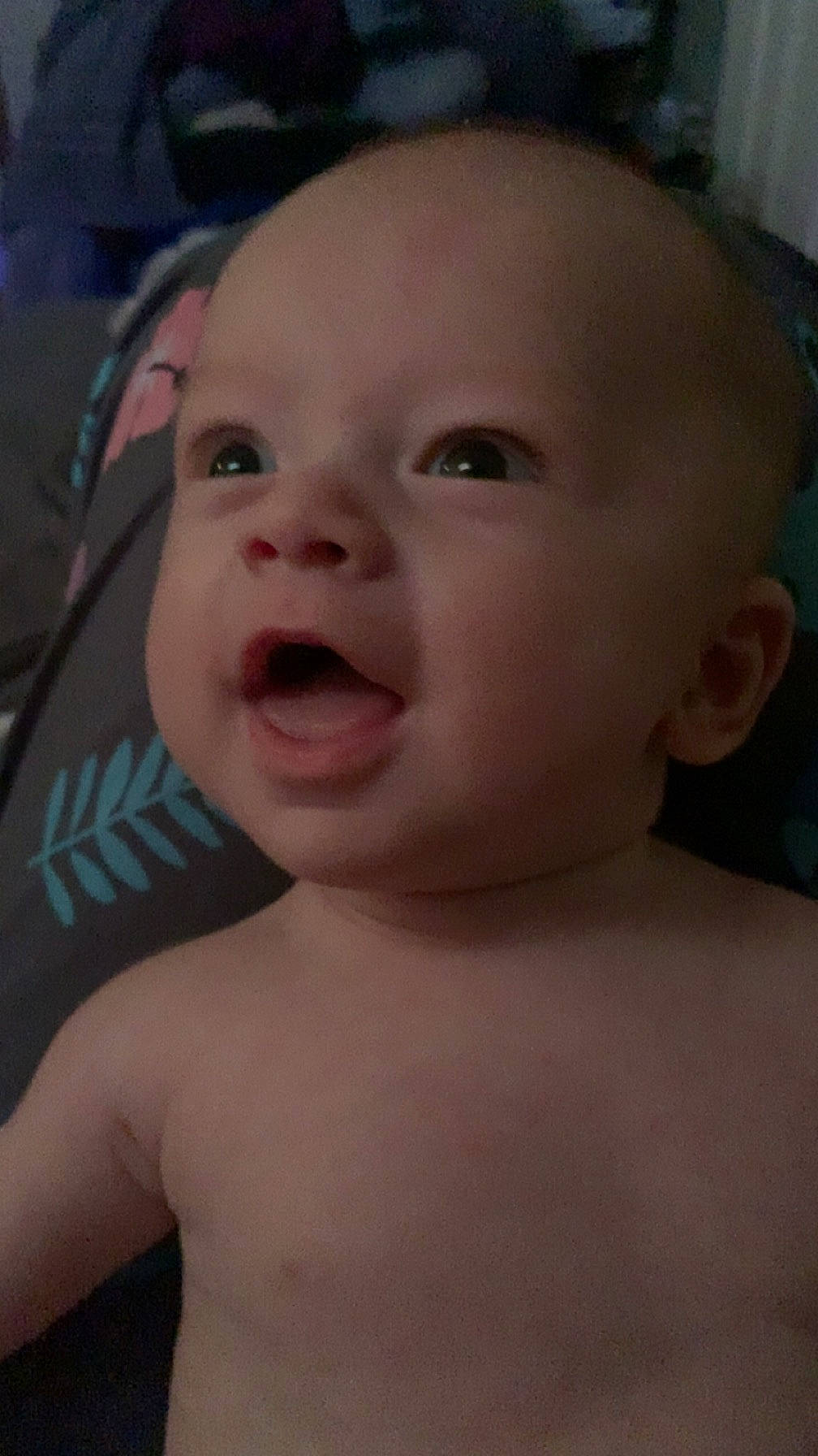 Finley joined the competition — help win amazing prizes! cheek, chin, ear, eye, eyebrow, eyelash, finger, forehead, gesture, human_body, iris, jaw, lip, mouth, muscle, neck, nose, person, skin, smile