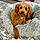 Emmie