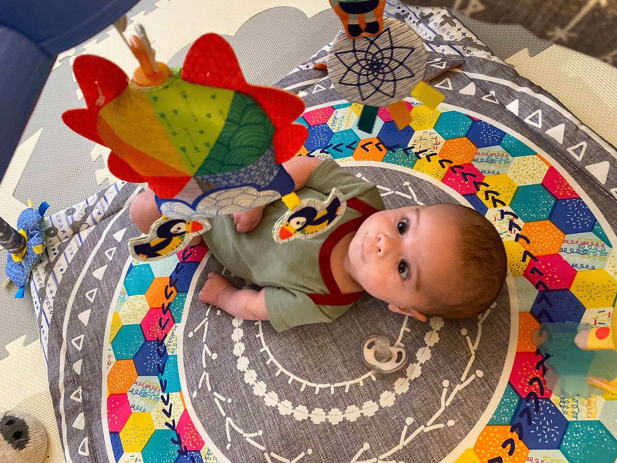 Draco joined the competition — help win amazing prizes! art, baby, baby_products, baby_toddler_clothing, baby_toys, child, comfort, craft, floor, flooring, fun, leisure, linens, pattern, person, play, playmat, room, toddler, toy