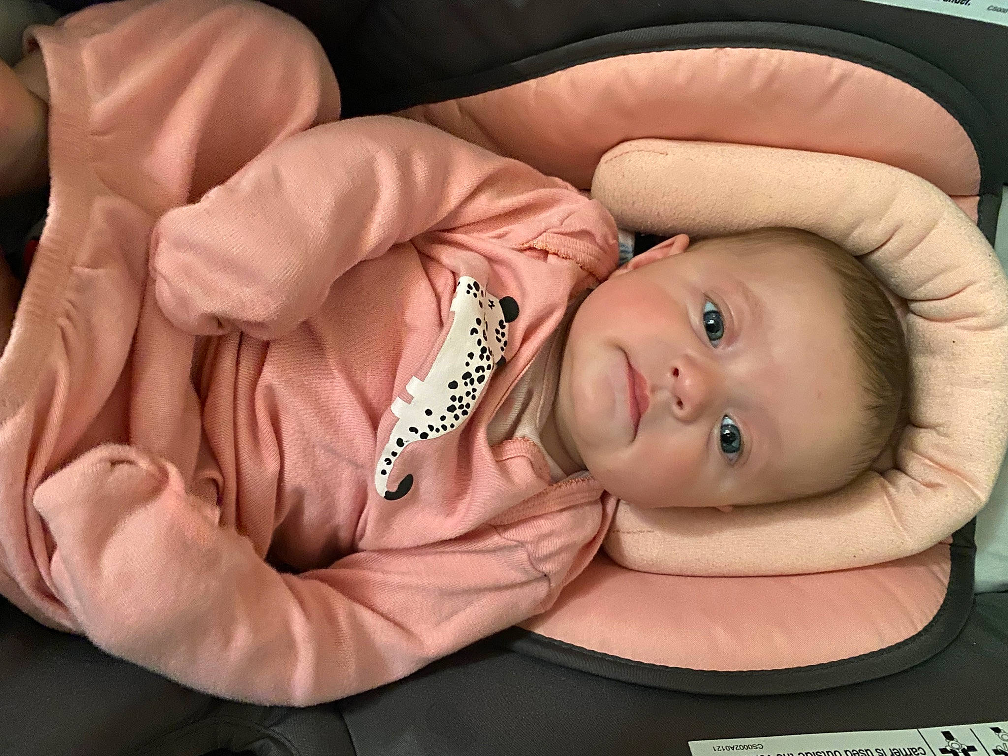 Adaline joined the competition — help win amazing prizes! baby, baby_products, baby_sleeping, baby_toddler_clothing, car_seat, cheek, child, comfort, eyelash, hat, linens, nap, person, portrait_photography, product, sitting, skin, sleep, smile, toddler