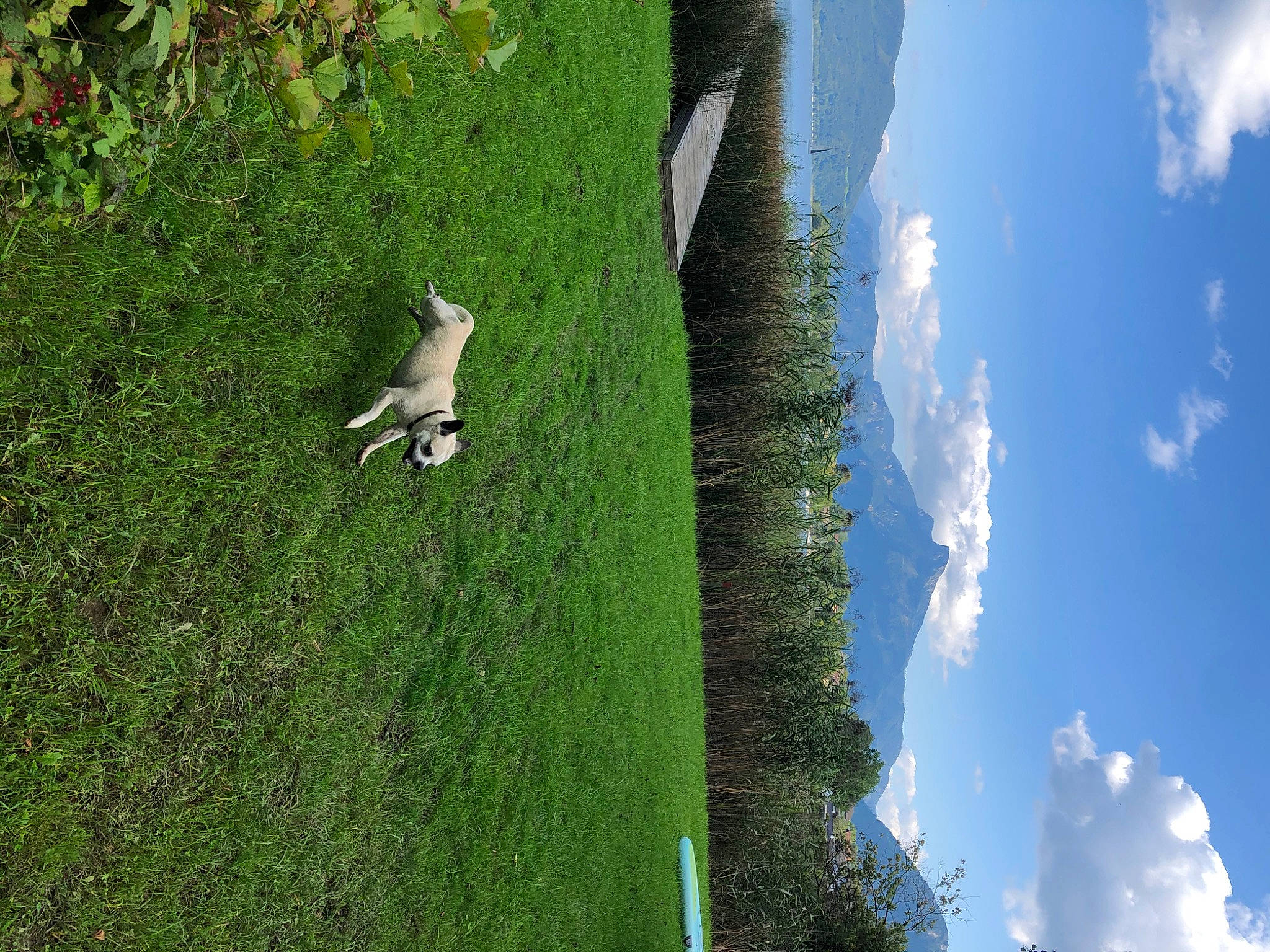 Victor participe au concours pour gagner de l'argent avec cette photo : adventure, biome, cloud, cumulus, forest, grass, grassland, hill_station, landscape, mountain, natural_landscape, nature_reserve, plant, sky, slope, terrain, tree, trunk, water, wood