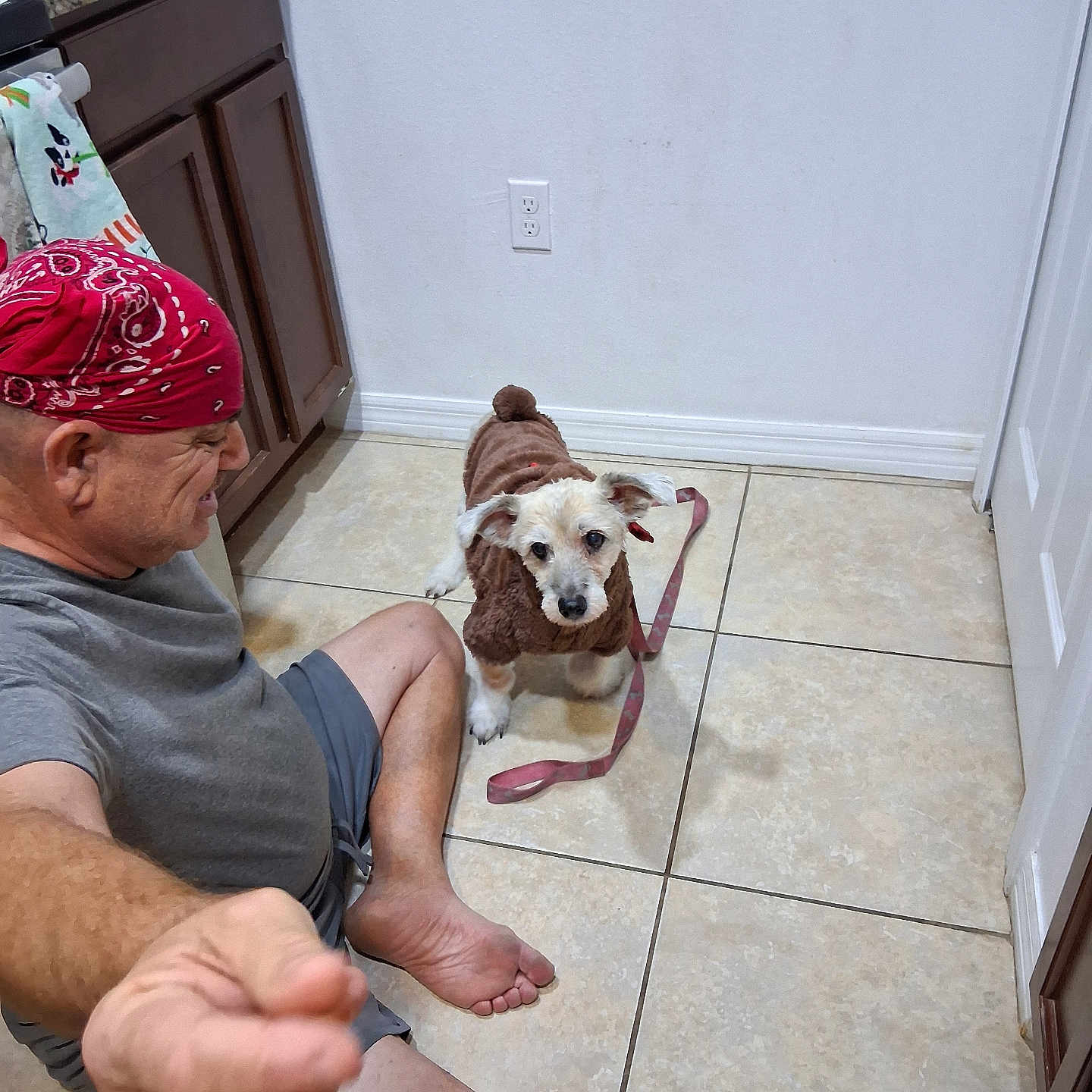 Ginger Traficante is registered to the contest to win money with this photo: barefoot, brown_dog_outfit, cabinet, countertop, dog, door, gray_shirt, indoor, kitchen, leash, man, pet, playful, red_bandana, shorts, sitting, small_dog, tile, tile_floor, wall