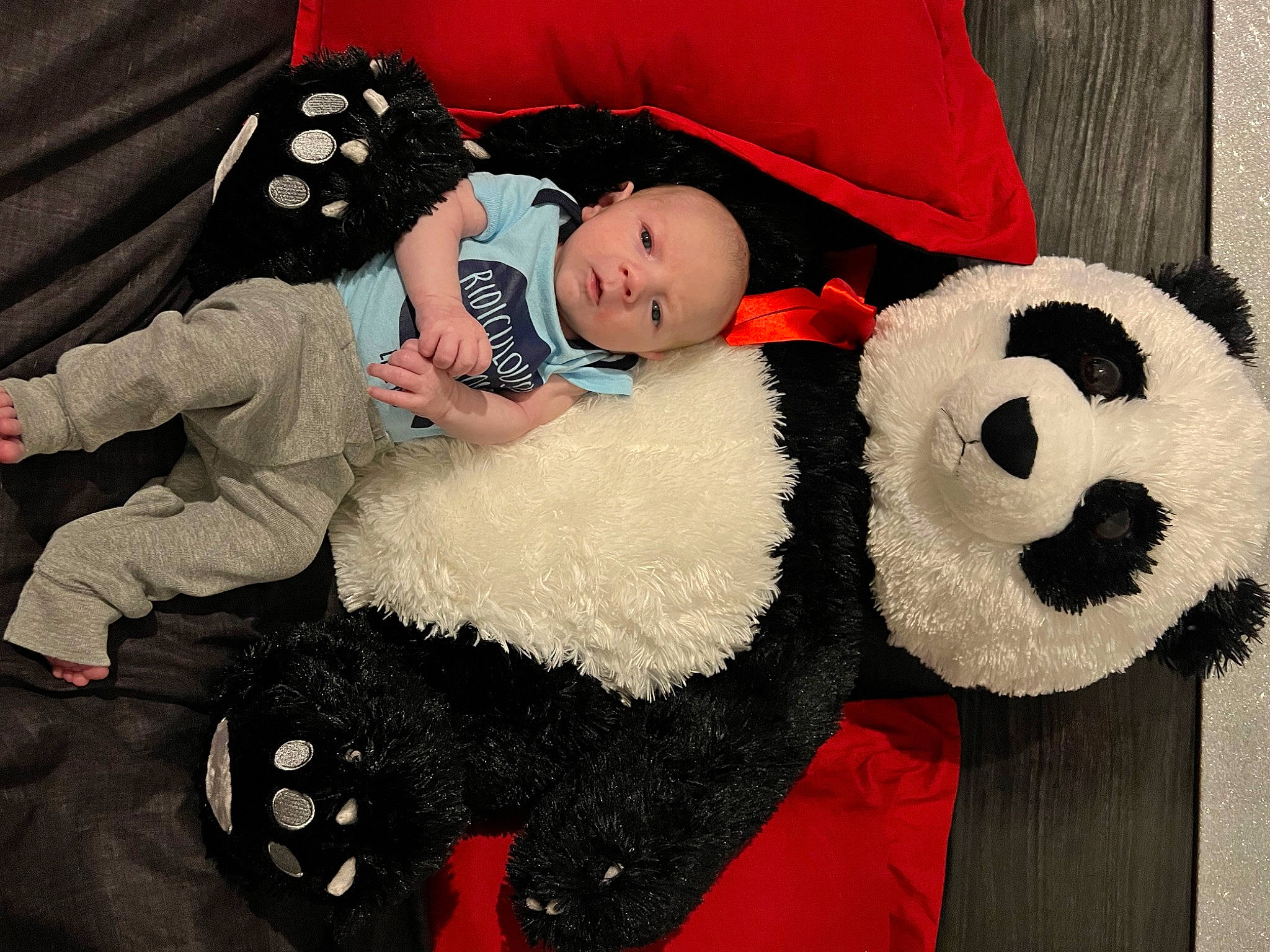Matthew is registered to the contest to win money with this photo: baby, baby_toddler_clothing, beauty, black, comfort, facial_expression, fun, fur, happy, head, headgear, human, panda, pattern, person, pink, red, textile, toddler, toy