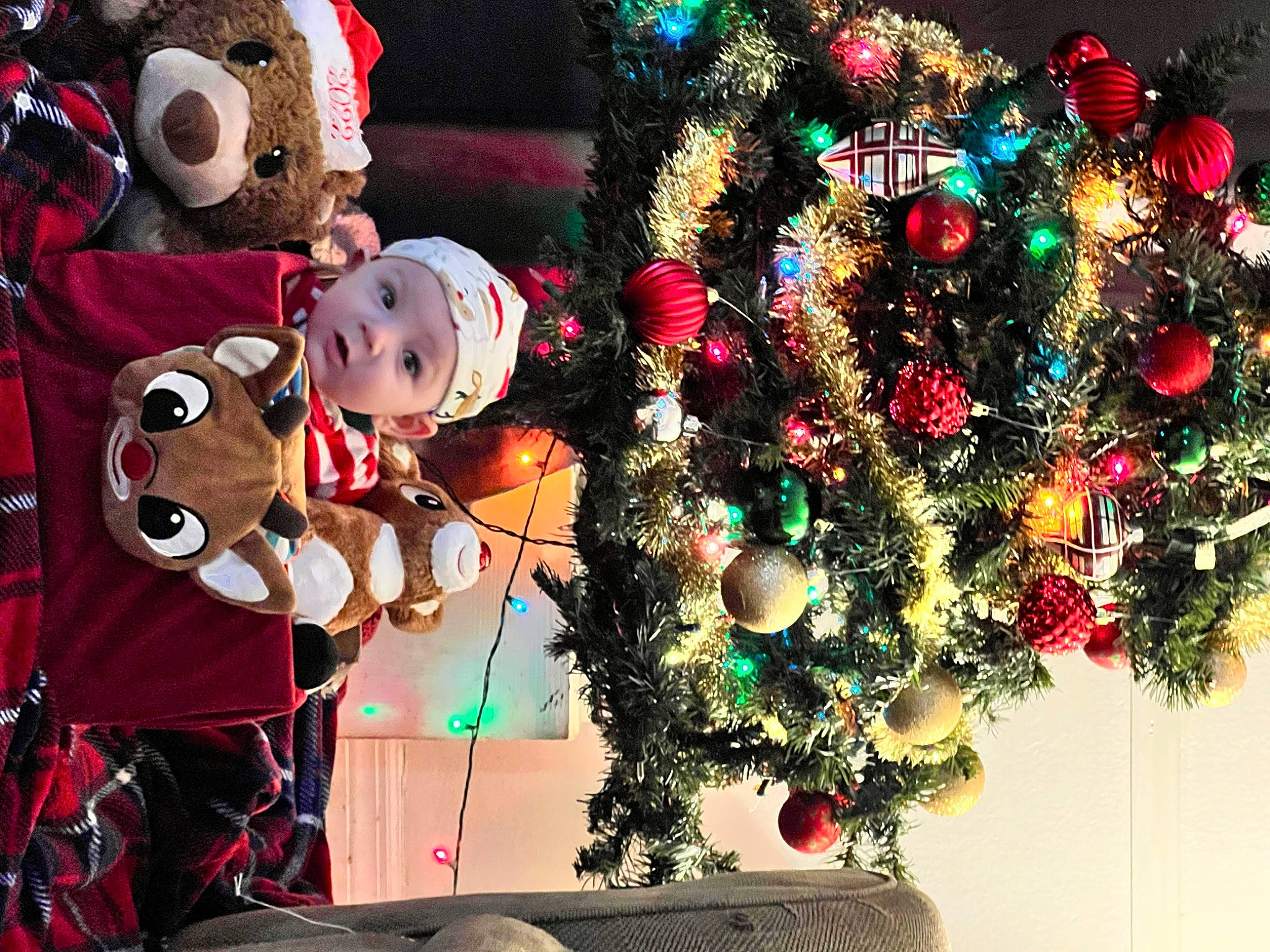 Matthew joined the competition — help win amazing prizes! carmine, christmas, christmas_decoration, christmas_eve, christmas_ornament, christmas_tree, conifer, costume_hat, event, fun, hat, headwear, holiday, holiday_ornament, ornament, person, plant, stuffed_toy, toy, tradition