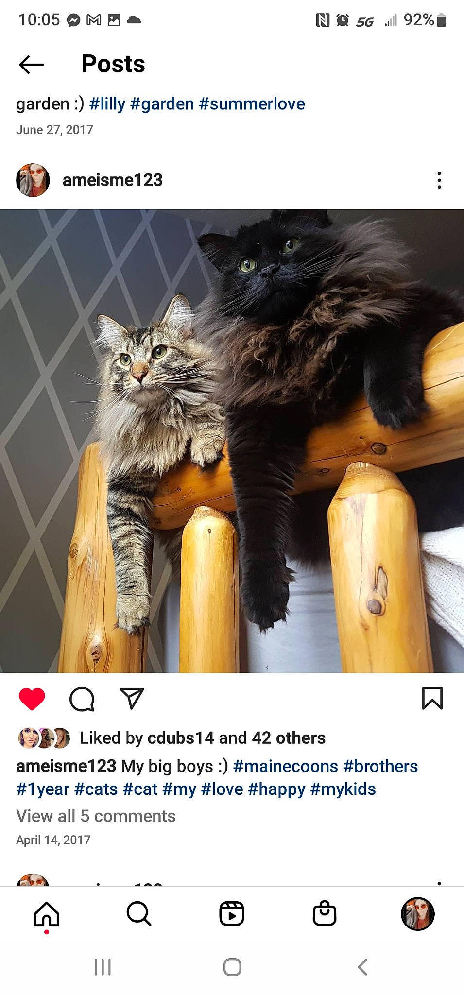Caleb is registered to the contest to win money with this photo: canidae, carnivore, cat, cat_supply, claw, companion_dog, fawn, felidae, font, fur, liver, mammal, natural_material, organism, photo_caption, screenshot, small_to_medium_sized_cats, tail, whiskers, wood