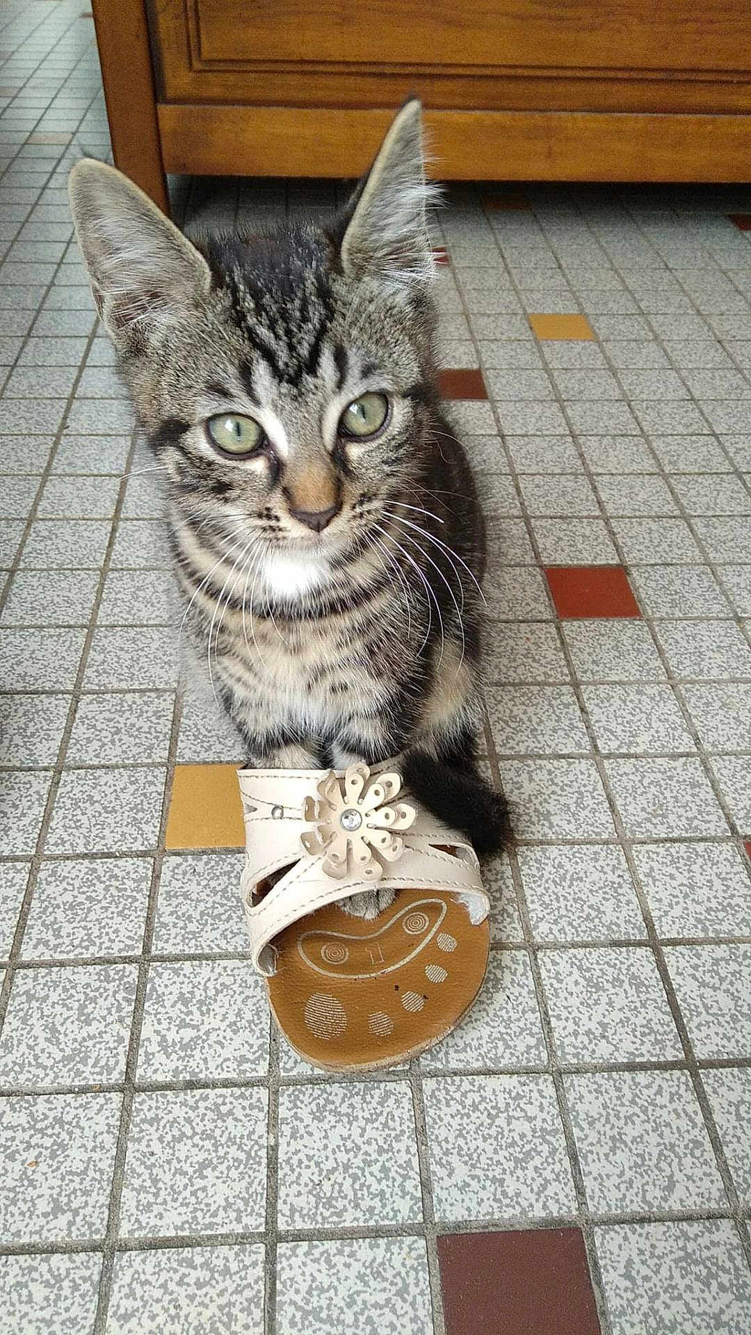 Aïko