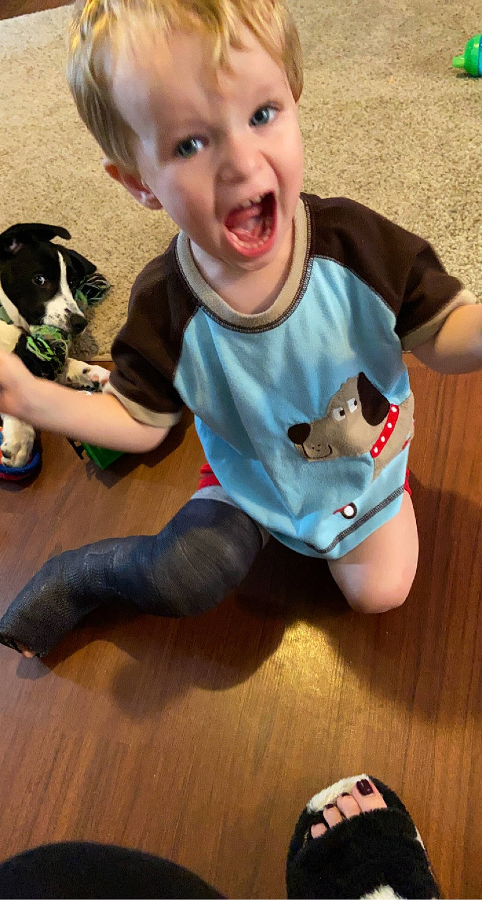 Kolt is registered to the contest to win money with this photo: baby_toddler_clothing, child, clothing, cool, dog, face, finger, floor, flooring, fun, green, happy, hardwood, leg, person, skin, sleeve, surprise, t_shirt, toddler