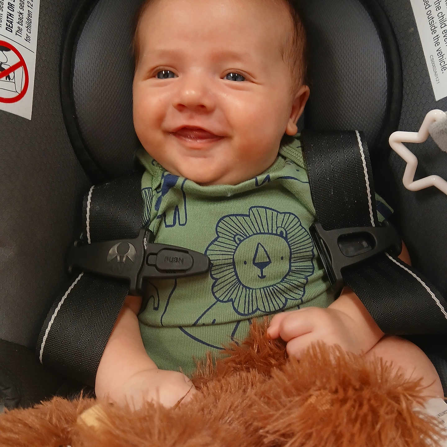 James is registered to the contest to win money with this photo: baby, smile, car_seat, child, infant, happy, toy, stuffed_animal, clothing, seat_belt, portrait, cute, face, head, baby_girl, baby_boy, child_seat, green_shirt, indoor, close_up