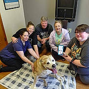 Brunos Mars is registered to the contest to win money with this photo: blanket, casual_clothing, dog, eyeglasses, group_of_people, happy, hardwood_floor, indoor, kneeling, leash, medical_equipment, middle_aged, people, phone, portrait, poster_on_wall, sitting, smiling, video_call, wooden_door