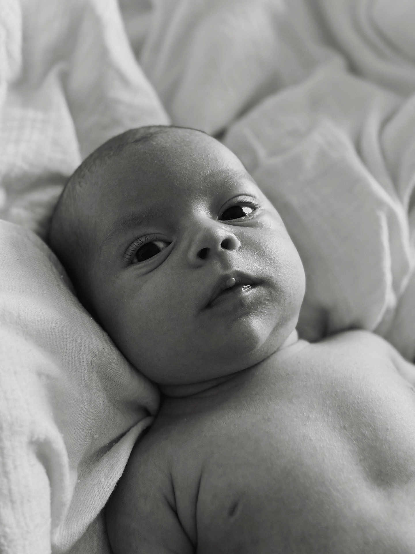 Roma a rejoint le concours — aidez-le/la à gagner de superbes lots ! baby, black_and_white, blanket, child, close_up, cute, expression, eyes, face, head, human, infant, laying_down, monochrome, newborn, peaceful, portrait, skin, soft_texture, young_child
