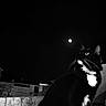 cat, tuxedo_cat, black_and_white, feline, pet, animal, sitting, portrait, whiskers, ears, eyes, paws, white_chest, black_fur, outdoor, night, dramatic_lighting, monochrome, wall, photography