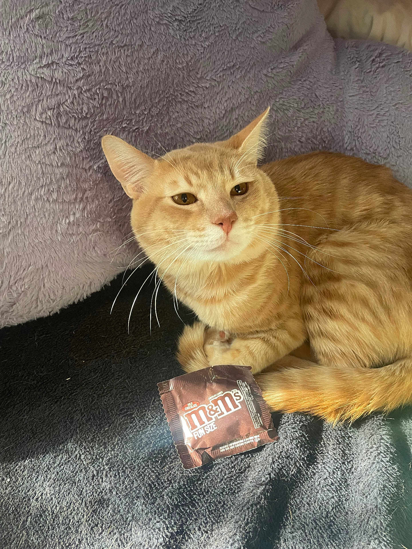 Simba
