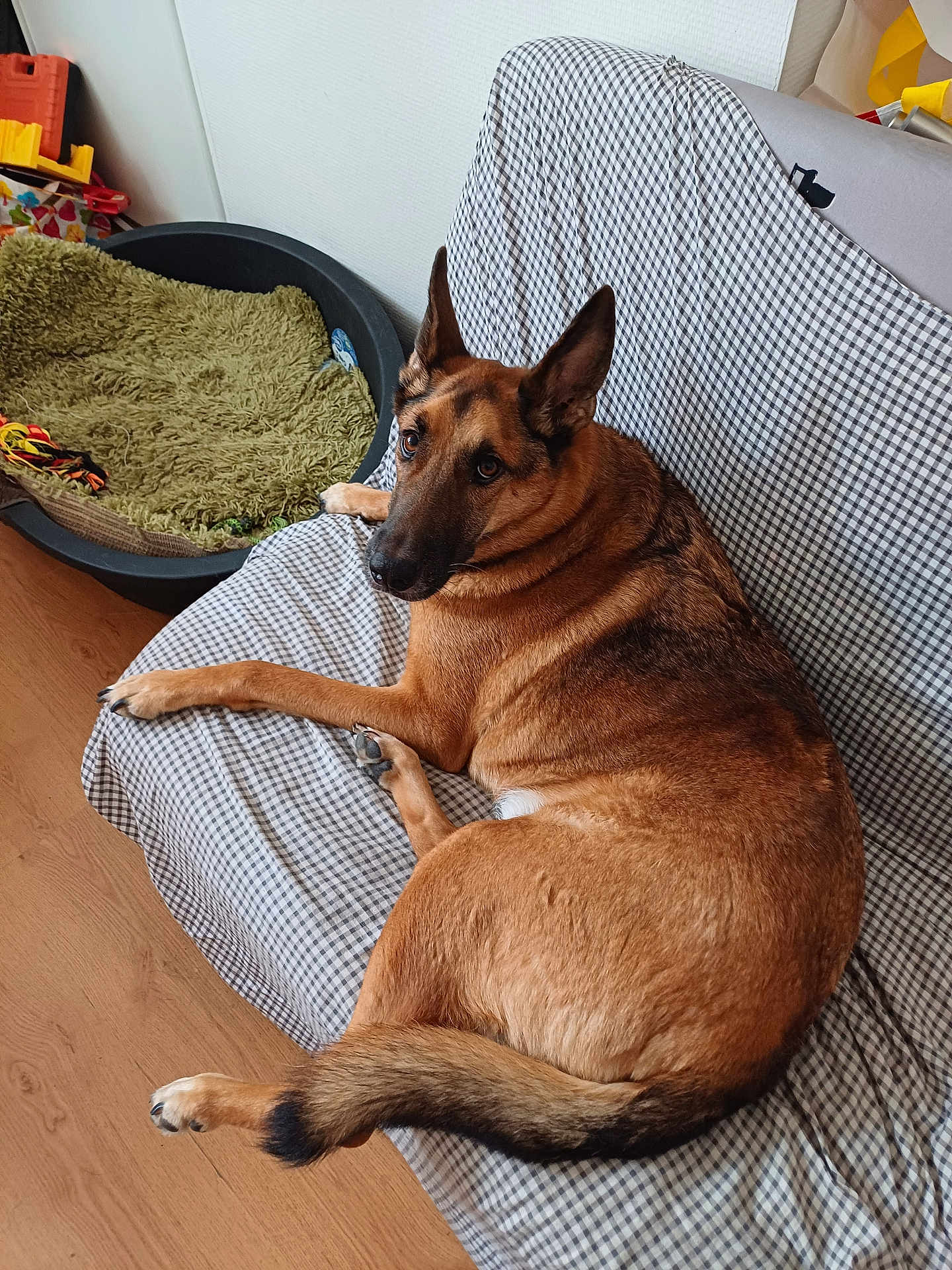 Eïko
