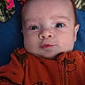 baby, infant, face, expression, orange_onesie, fox_pattern, blanket, colorful_blanket, pink, blue_background, hand, portrait, child, young_baby, cute, wide_eyes, indoor, lying_down, soft_texture, cozy
