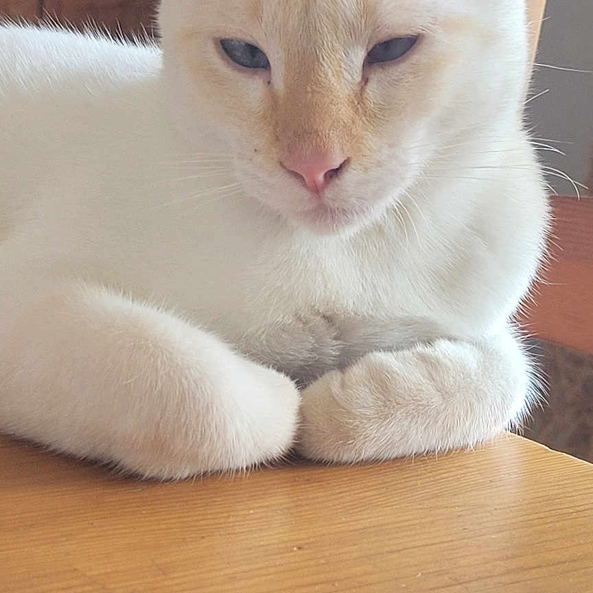Floyd