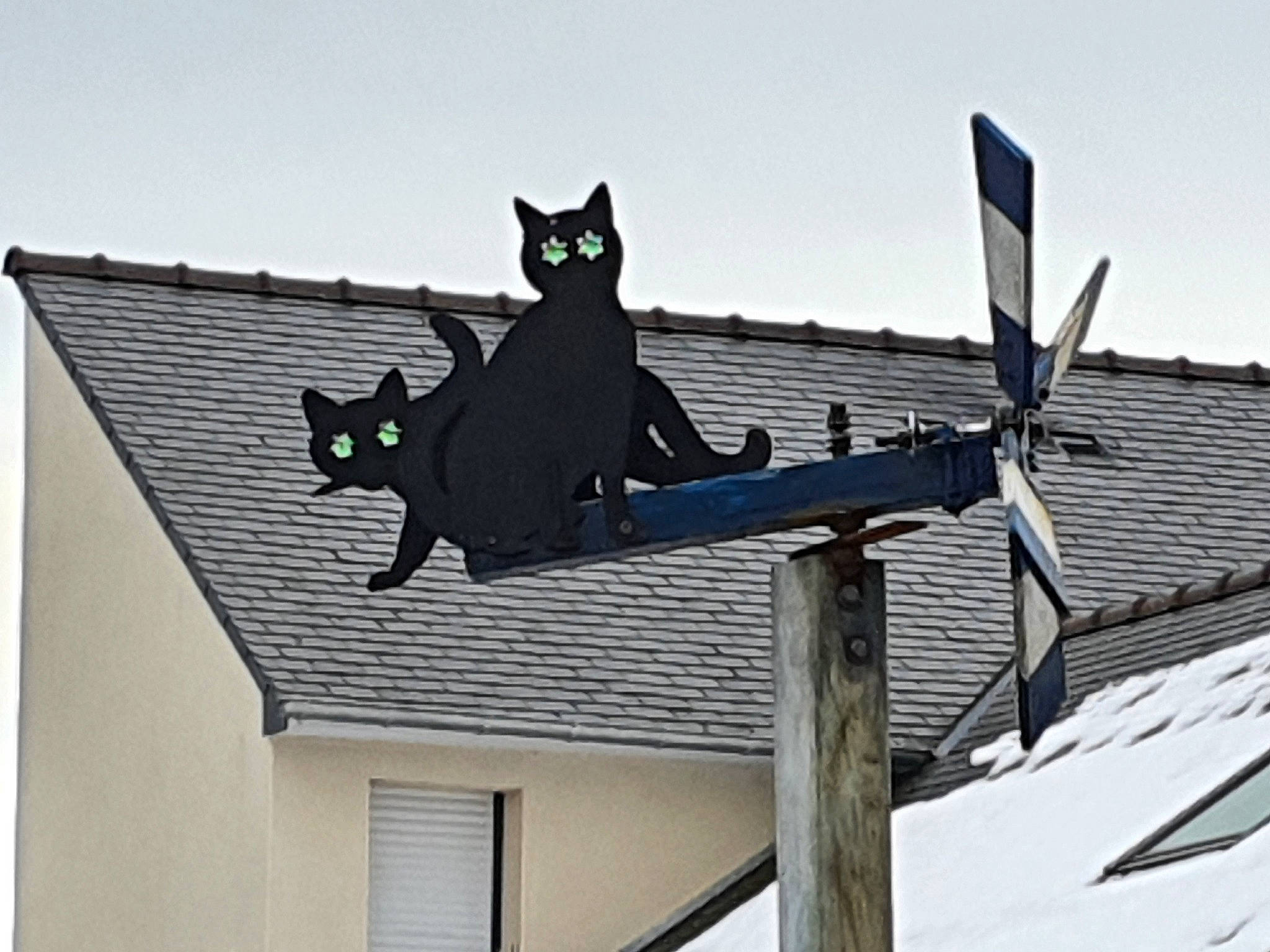 Alphonse participe au concours pour gagner de l'argent avec cette photo : black_cat, bombay, building, carnivore, cat, domestic_short_haired_cat, facade, felidae, grey, house, metal, roof, sky, slope, small_to_medium_sized_cats, tail, tree, whiskers, window, wood