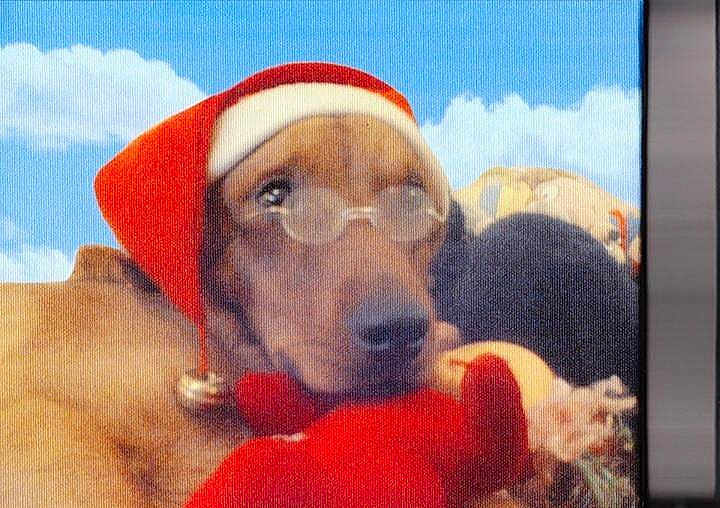 Twister participe au concours pour gagner de l'argent avec cette photo :