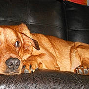 Twister participe au concours pour gagner de l'argent avec cette photo :