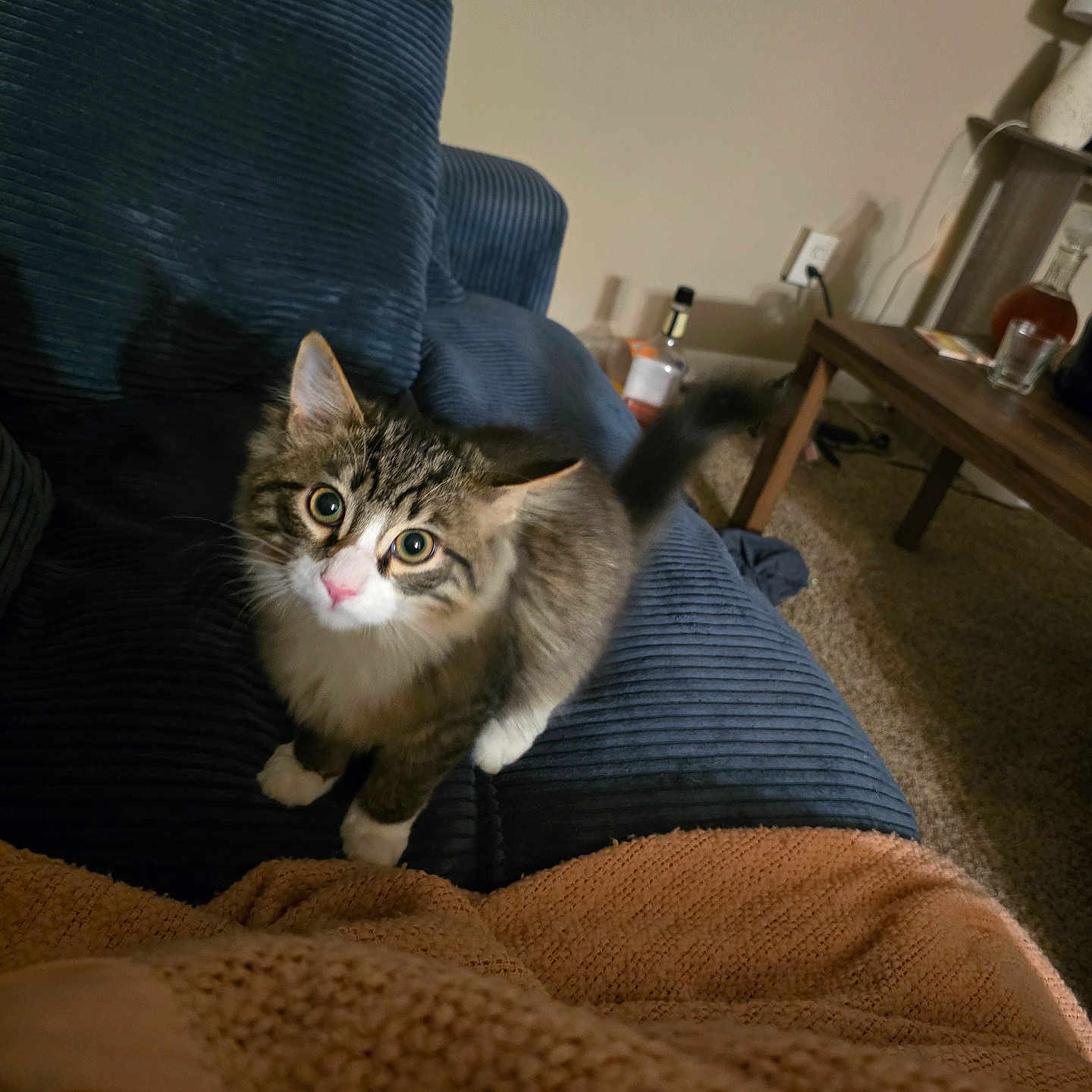 Oscar