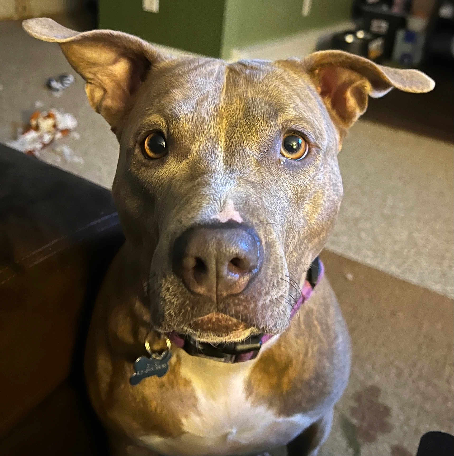 Chloe