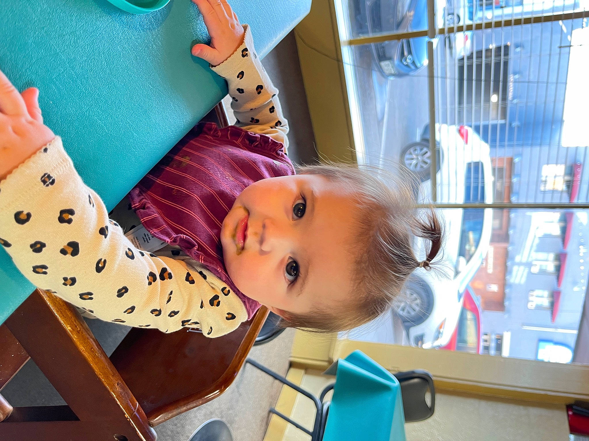 Fallon joined the competition — help win amazing prizes! baby, baby_products, baby_safety, baby_toddler_clothing, baby_toys, child, fun, happy, infant_bed, leisure, pattern, person, play, room, toddler, tree, wood