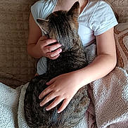 Minnie participe au concours pour gagner de l'argent avec cette photo : arm, blanket, cat, child, close_up, comfort, couch, fur, hand, home, hugging, indoor, pet, relaxation, resting, soft, tabby_cat, texture, warmth, white_shirt