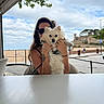 Tyca participe au concours pour gagner de l'argent avec cette photo : beach, casual_clothing, clouds, daytime, dog, hand, leash, outdoor, person, railing, sand, seat, sky, smiling_dog, stone_structure, sunglasses, table, tattoo, tree, white_dog