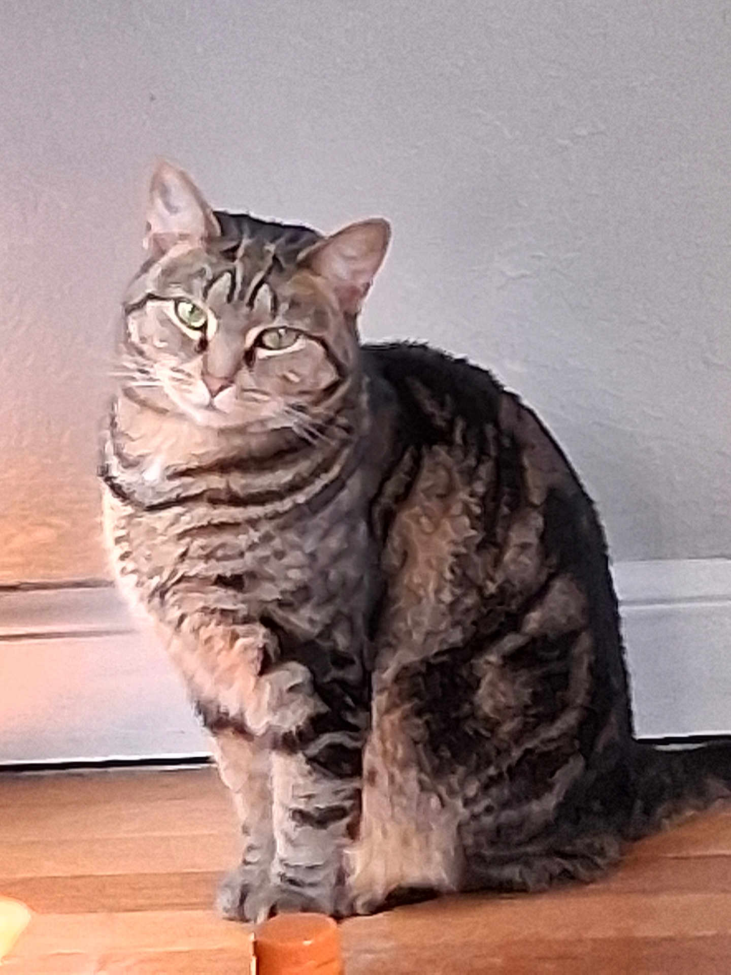 Pebbles