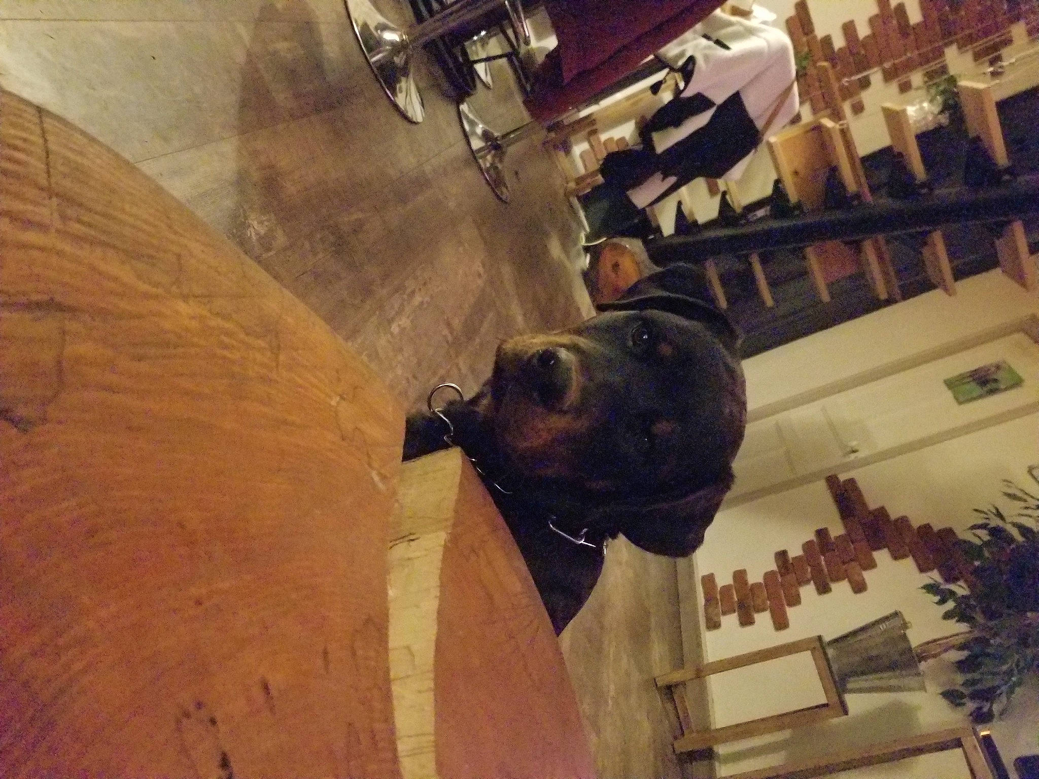 Ares participe au concours pour gagner de l'argent avec cette photo : art, automotive_tire, automotive_wheel_system, building, ceiling, flooring, fun, hardwood, metal, room, sculpture, selfie, statue, tire, tourist_attraction, visual_arts, wood