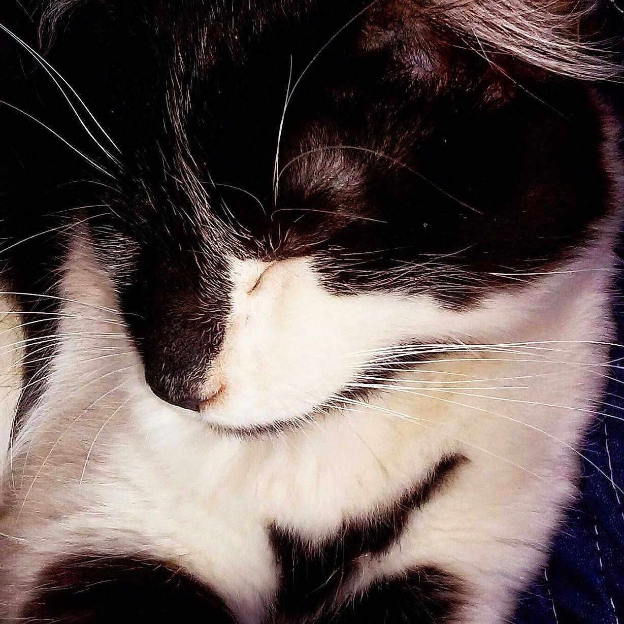 George