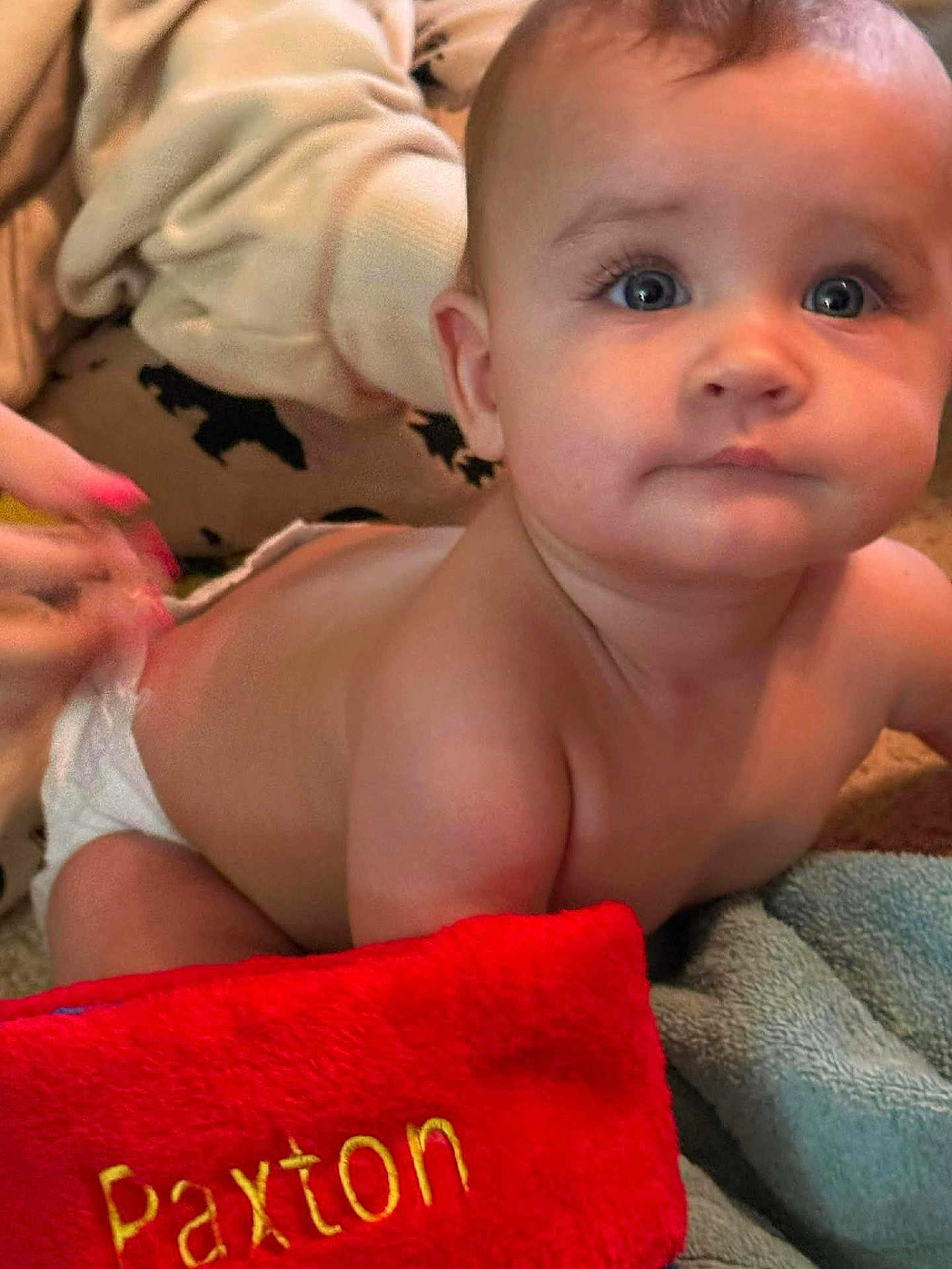 Paxton joined the competition — help win amazing prizes! baby, child, infant, blue_eyes, diaper, blanket, red_blanket, hand, skin, floor, curious, soft_texture, face, person, cute, indoors, closeup, childhood, young, portrait