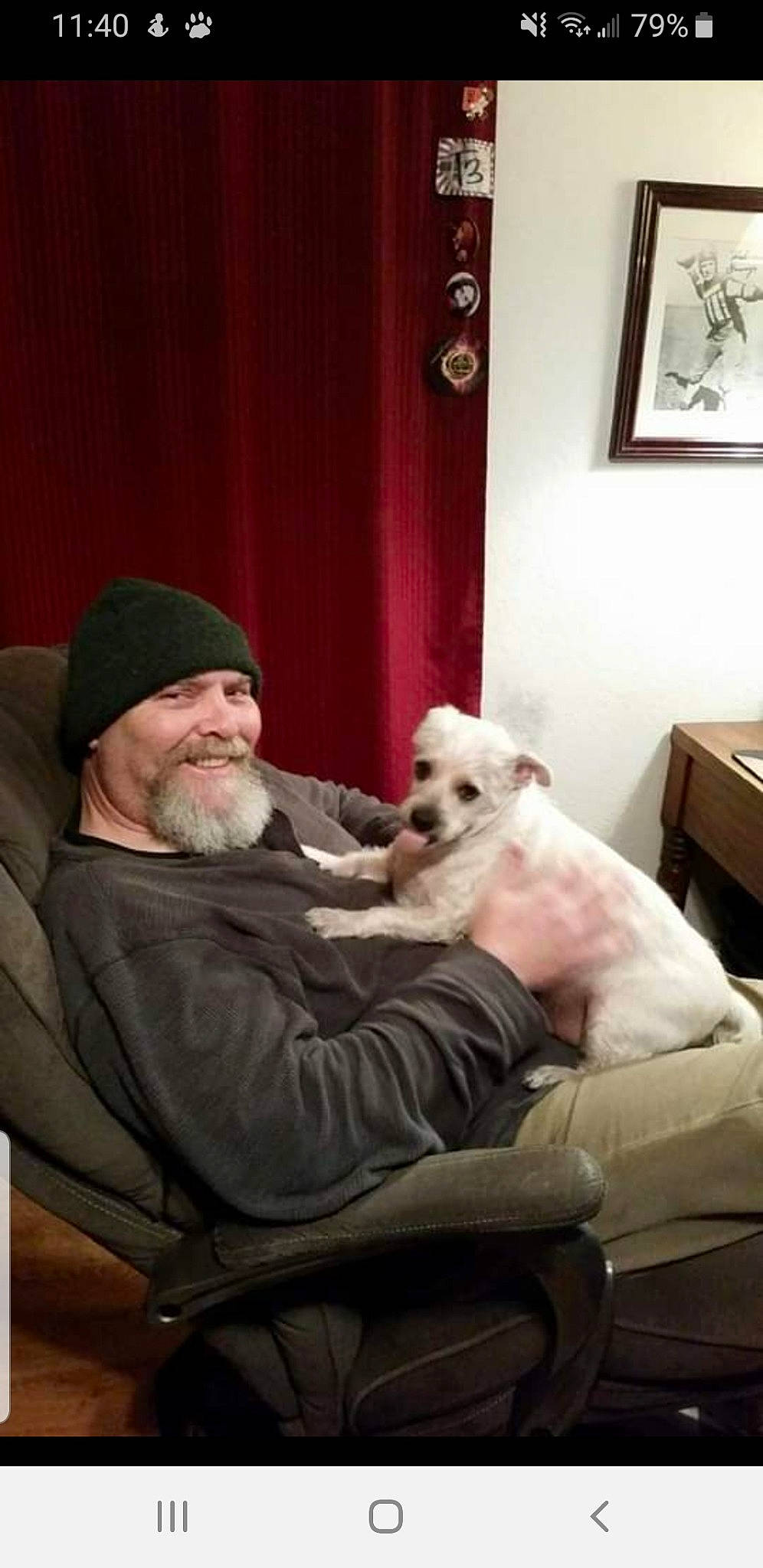 Duffy is registered to the contest to win money with this photo: beard, canidae, cap, carnivore, chair, comfort, companion_dog, couch, curtain, dog, dog_breed, drawer, fawn, fur, lap, picture_frame, room, sitting, smile, sporting_group