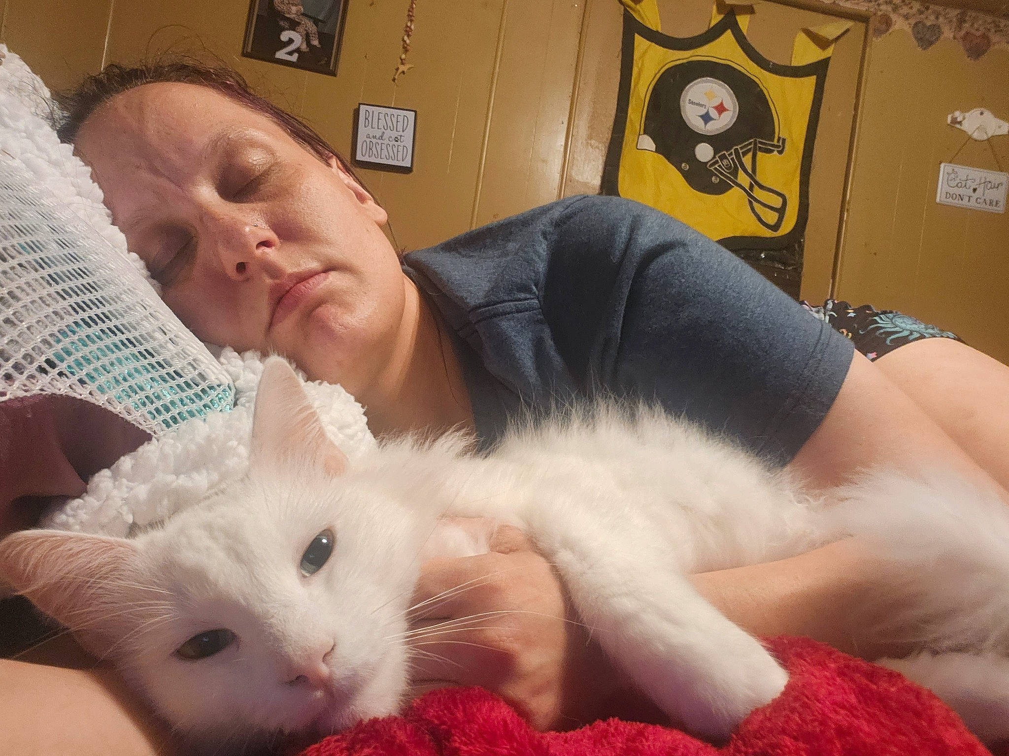 Capias is registered to the contest to win money with this photo: bed, child, claw, comfort, companion_dog, couch, ear, felidae, flesh, foot, fur, lap, linens, muroidea, paw, picture_frame, rodent, room, skin, whiskers