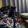 animal, black_cat, blanket, carpet, colorful, cozy, curious, curtain, day_of_the_dead, floor, furniture, home, indoor, kitten, ottoman, pet, seated, small_animal, table, water_bottle
