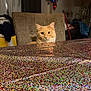 cat, ginger_cat, chair, table, glittery_surface, sparkles, indoor, living_room, curtains, banner, balloons, mop, clothes_pile, curious_expression, pet, portrait, eyes, furniture, dining_area, sparkly_table