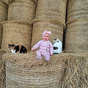 Serena is registered to the contest to win money with this photo: baby, child, pink_clothing, hay_bale, stacked_hay, cat, two_cats, animal, barn, farm, outdoor, smiling, sitting, cuteness, headwear, bow, nature, pet, fur, relaxed