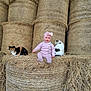 baby, child, pink_clothing, hay_bale, stacked_hay, cat, two_cats, animal, barn, farm, outdoor, smiling, sitting, cuteness, headwear, bow, nature, pet, fur, relaxed