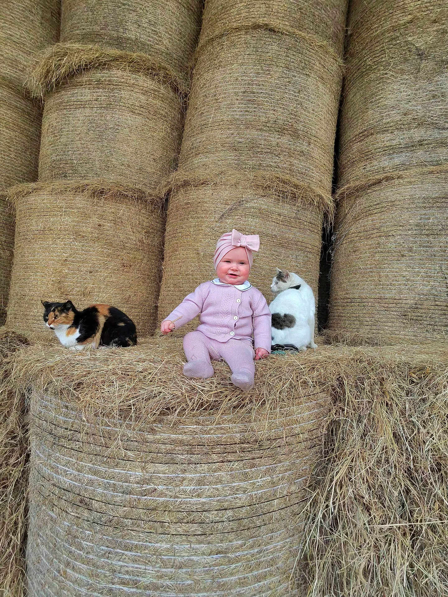 Serena is registered to the contest to win money with this photo: baby, child, pink_clothing, hay_bale, stacked_hay, cat, two_cats, animal, barn, farm, outdoor, smiling, sitting, cuteness, headwear, bow, nature, pet, fur, relaxed