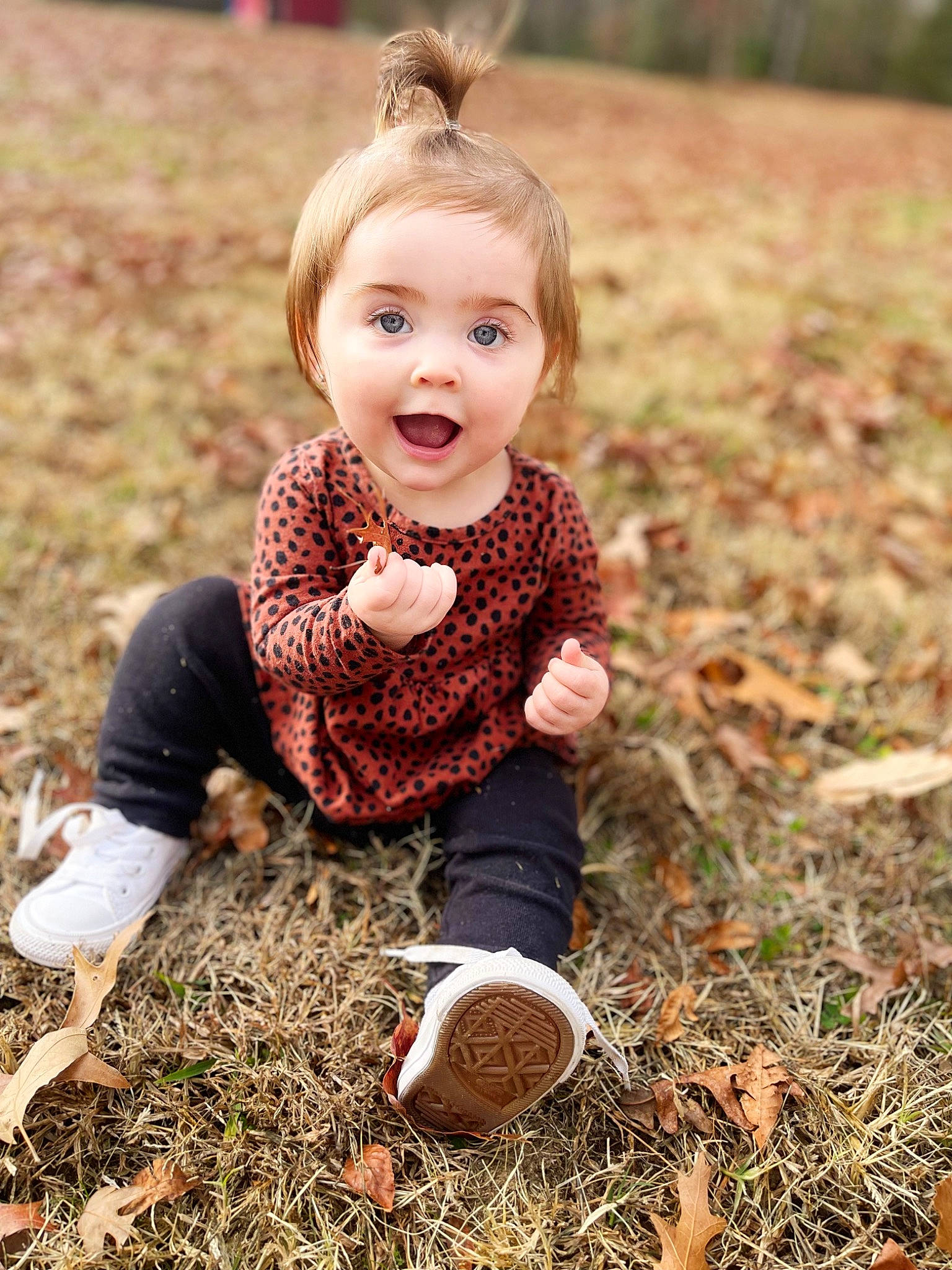 Kinsley is registered to the contest to win money with this photo: baby, baby_toddler_clothing, child, eye, flash_photography, fun, grass, grass_family, grassland, happy, head, people_in_nature, person, plant, prairie, sitting, smile, soil, sunlight, surprise