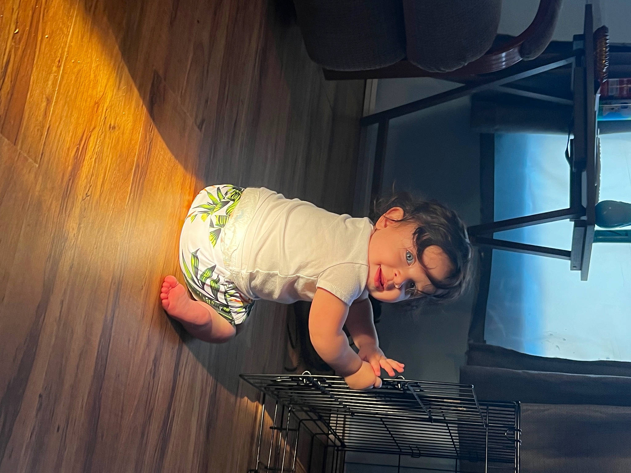 Edith is registered to the contest to win money with this photo: baby, baby_toddler_clothing, child, elbow, entertainment, event, flash_photography, flooring, glasses, hardwood, hat, human_leg, music, pattern, performing_arts, person, sitting, smile, t_shirt, toddler