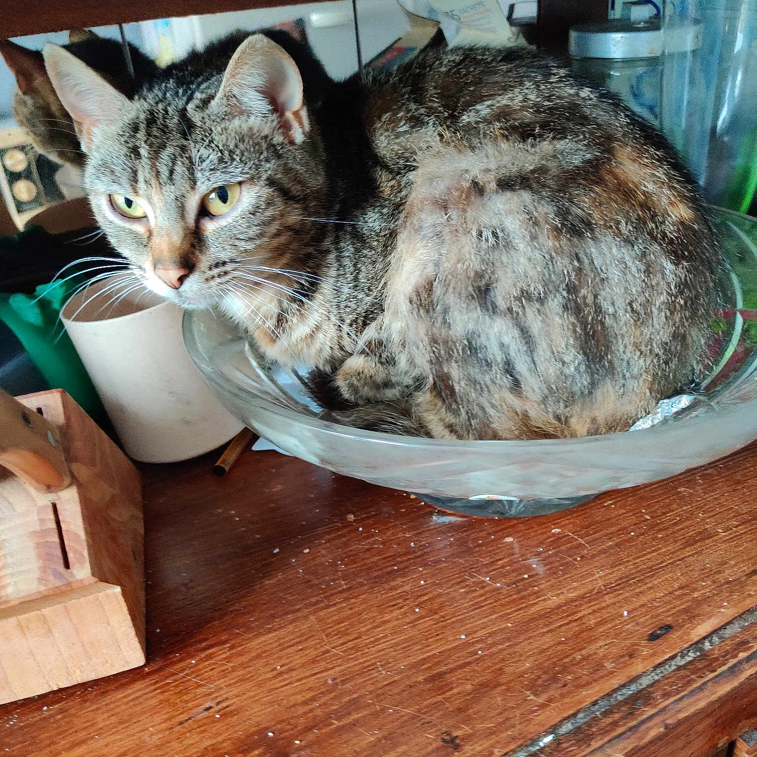 Ratatouille