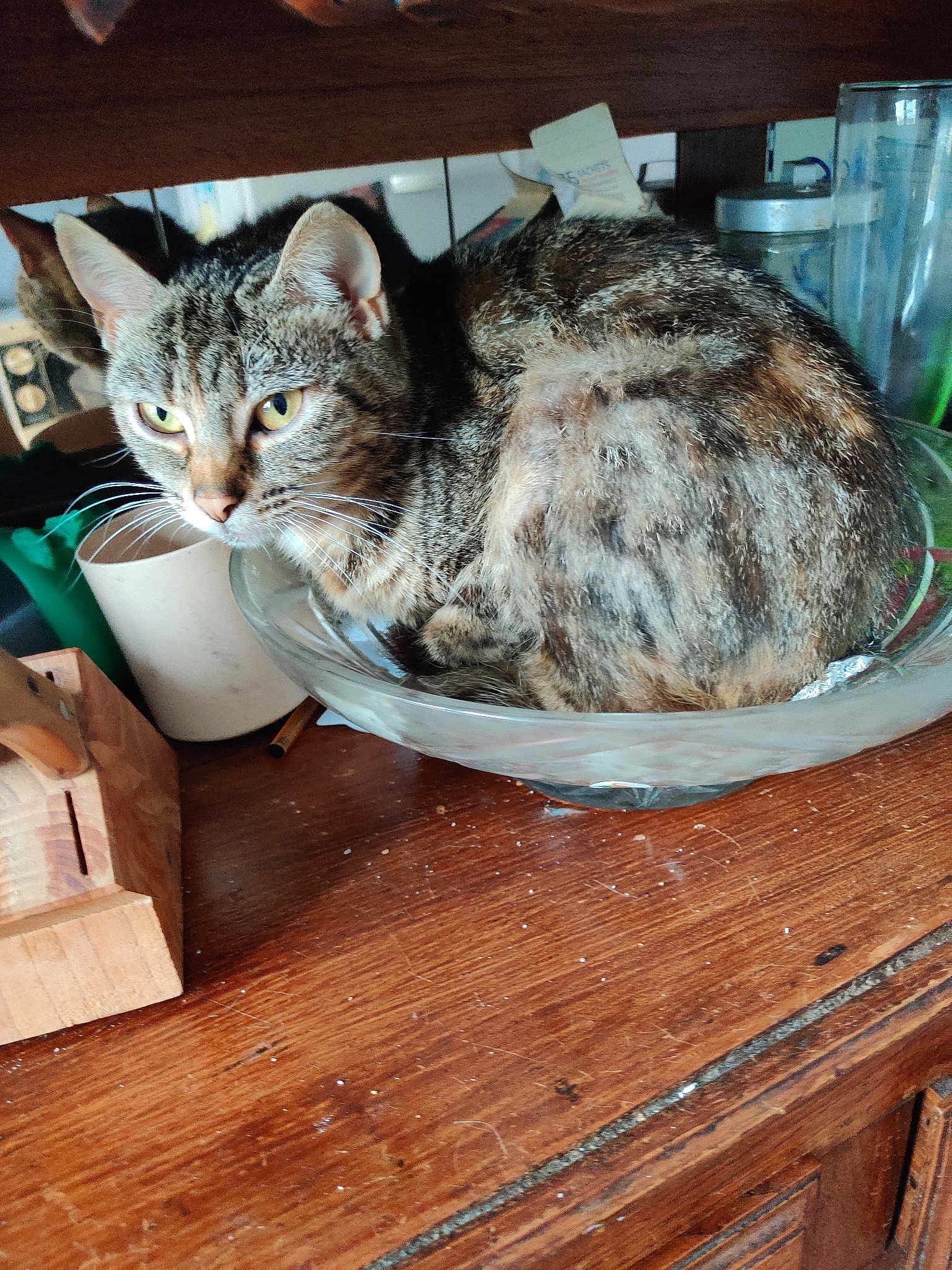 Ratatouille